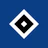 Hamburger SV icon