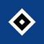 Hamburger SV icon