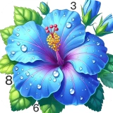 Nature Calm Paint by Numbers icon
