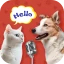Pet Ai - Dog & Cat Translator icon