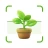Identification des plantes icon