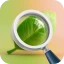 Soins des plantes-Identifiant icon