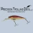 Precision Trolling Data icon