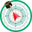 Qibla Finder : Boussole icon