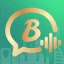 Bota - Voice Chat Party icon