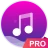 Music player - pro version icon