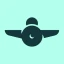 Rogervoice icon