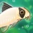Pondlife — Fish, Frogs & More! icon