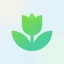 PlantApp - Identificateur