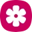 Gallery - photo gallery, album icon