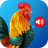 Sonneries d'animaux icon