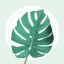 PlantMe - Plant identification icon