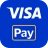 Visa Pay icon