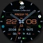WFP 236 Hybrid watch face icon