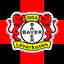 Bayer 04 Leverkusen icon