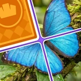 Jigsaw Drop : Puzzle Solitaire icon