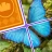 Jigsaw Drop : Puzzle Solitaire icon
