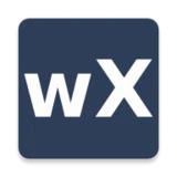 wX icon
