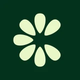 Clove: importa e salva icon