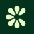 Clove: importa e salva icon