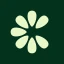 Clove: importa e salva icon
