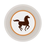 Pocket Bank icon