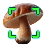 Mushromizer icon