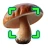 Mushromizer icon