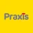 Praxis icon