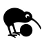 Kiwix, Wikipédia sans Internet icon