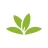 Pl@ntNet plantenidentificatie icon