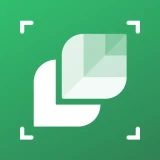 Identifier Plantes: LeafSnap icon