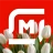 Магнит: акции и доставка icon