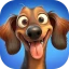 Solitaire : Ville des Animaux icon