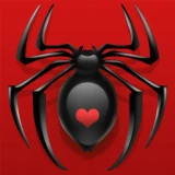 Spider Solitaire Classic icon