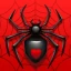 Solitario Spider icon