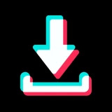 SnapTik: Baixar Videos Para TT icon