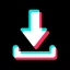 SnapTik: Baixar Videos Para TT icon