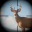 Trophy Hunter – Jeu de Tir icon
