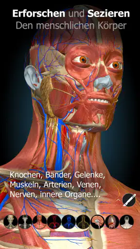 Anatomy Learning - 3D-Anatomie screenshot 1