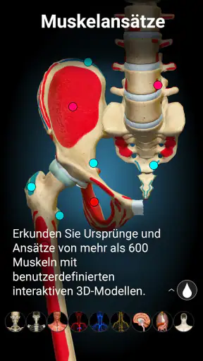 Anatomy Learning - 3D-Anatomie screenshot 10