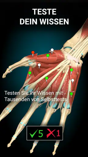 Anatomy Learning - 3D-Anatomie screenshot 11