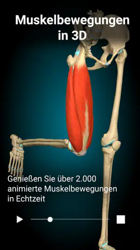 Anatomy Learning - 3D-Anatomie screenshot 2