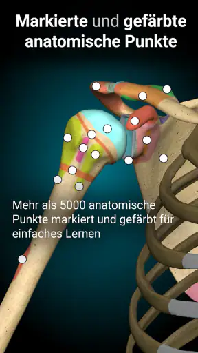 Anatomy Learning - 3D-Anatomie screenshot 3