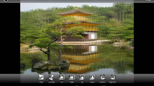 3DSteroid Pro screenshot 9