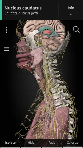 Anatomyka - 3D Anatomy Atlas screenshot 1