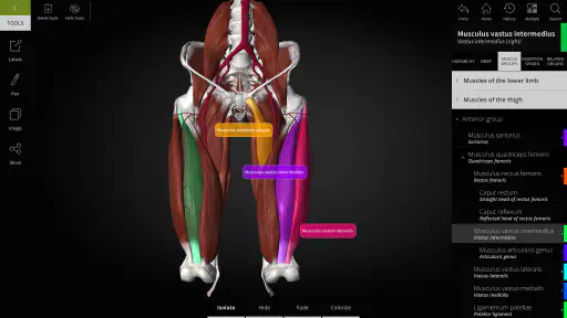 Anatomyka - 3D Anatomy Atlas screenshot 10