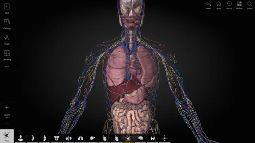 Anatomyka - 3D Anatomy Atlas screenshot 11