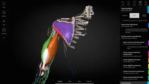 Anatomyka - 3D Anatomy Atlas screenshot 12