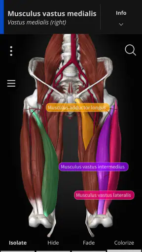 Anatomyka - 3D Anatomy Atlas screenshot 2